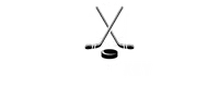 logo (ice hockey info)