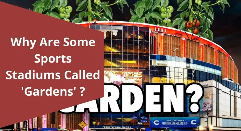 Why are hockey arenas called gardens?